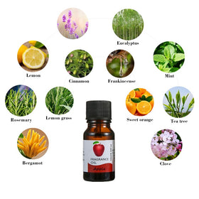 Essential oils Rambutan flavor aromatherapy